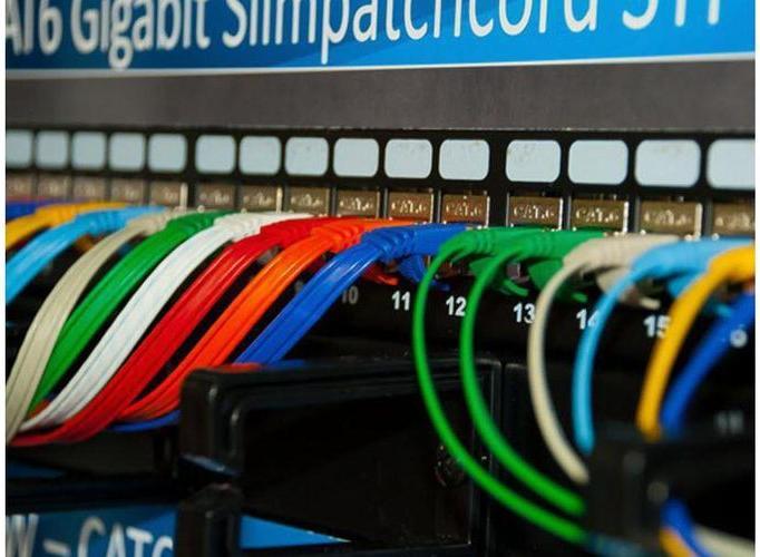 Actual product image Wirewin Network cable (U/UTP, CAT6, 10 m)