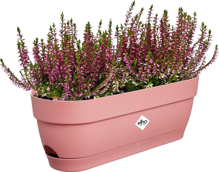 Image du produit Elho Vibia Campana (18.20 cm)