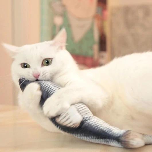 Immagine prodotto PhoneLook Giocattolo per gatti Giocattolo morbido pesce danzante Gioco di intrattenimento per animali (Gatto di peluche)