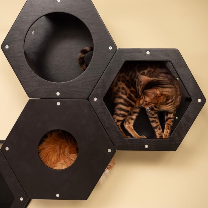 Immagine prodotto Wowhelperco Parete da arrampicata per gatti 8 pezzi (Nero)