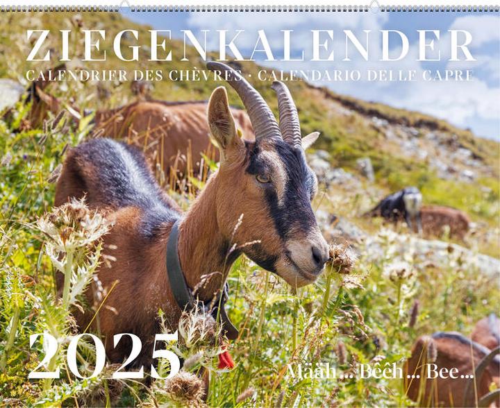 Ziegenkalender / Calendrier des chèvres / Calendario delle capre 2025 (Non contraignant, Allemand, Français, Italien)