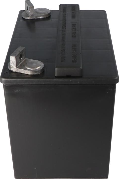 Actual product image Tadiran Sonnenschein S12/32 G6 solar battery lead battery 12Volt 32Ah, M6 screw connection (12 V, 32 Ah)