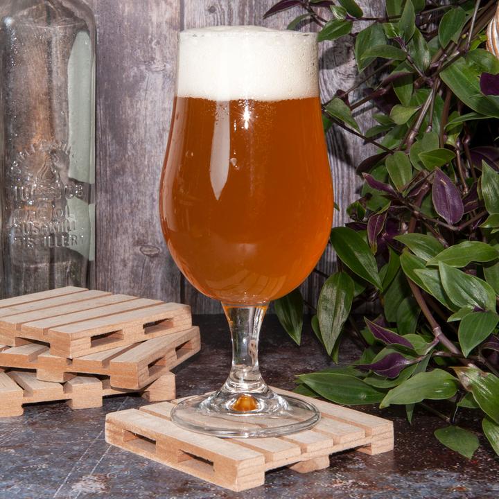 Actual product image Fs-Star Beer glass set of 4 (0.60 l, 4 x)