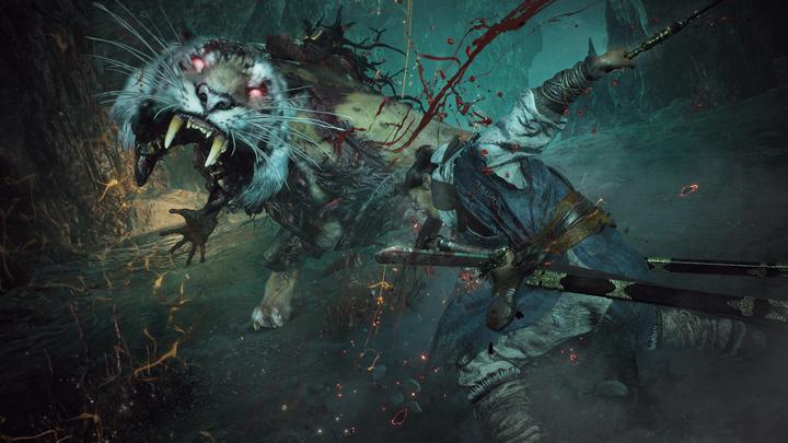 Produktbild Microsoft C2C Wo Long Fallen Dynasty Digital Deluxe Edition CH (Xbox Series X, Xbox Series S)