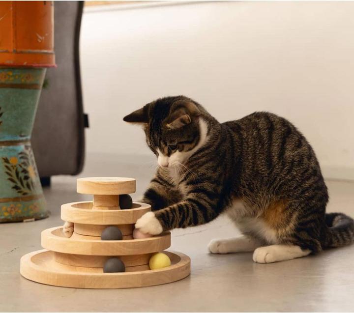 Produktbild Designed by Lotte Mia (Ballspielzeug Katze)