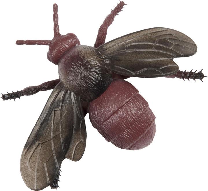 Actual product image Toi-Toys Animal world, big, creepy insect