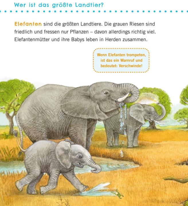 Produktbild Unkaputtbar: Erstes Wissen: Grosse Tiere (Deutsch, Petra Klose, 2021)