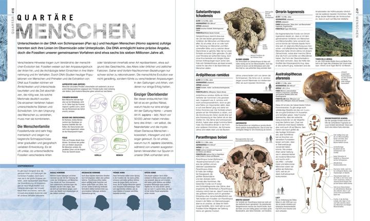 Image du produit Dinosaurier und andere Lebewesen der Urzeit (Allemand, Christopherua, Thomas, Jennifer/Duffin, BarryA/Clack, 2020)