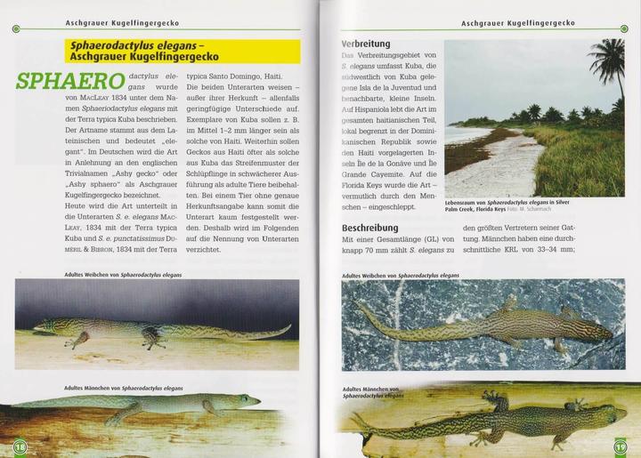 Image du produit Kugelfingergeckos (Allemand, Beate Röll, 2006)