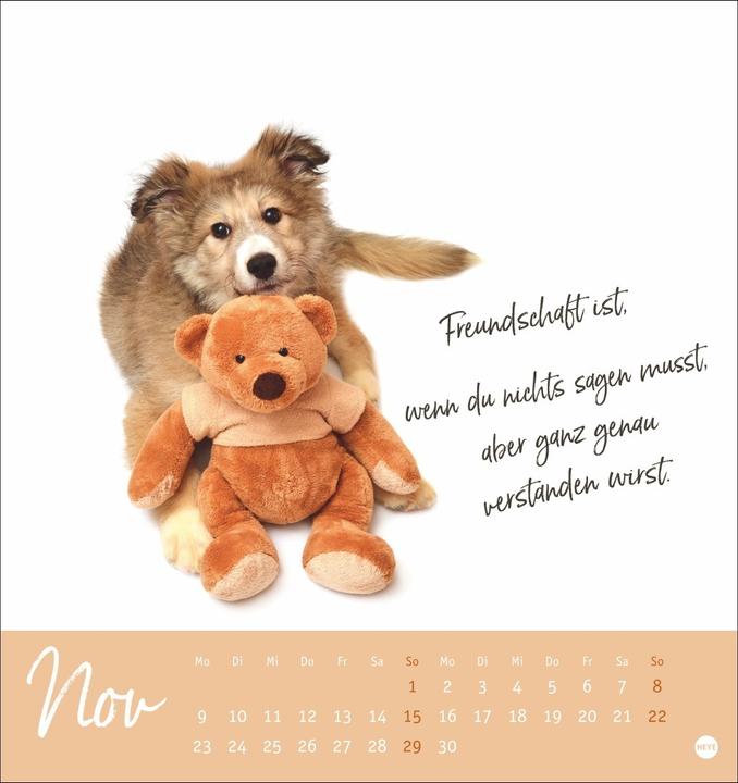 Image du produit Ziemlich beste Freunde Postkartenkalender 2026 - Für immer dein (Couverture rigide, Allemand)