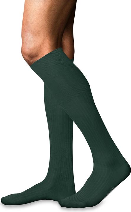 Produktbild Falke No. 10 KH (45 - 46)