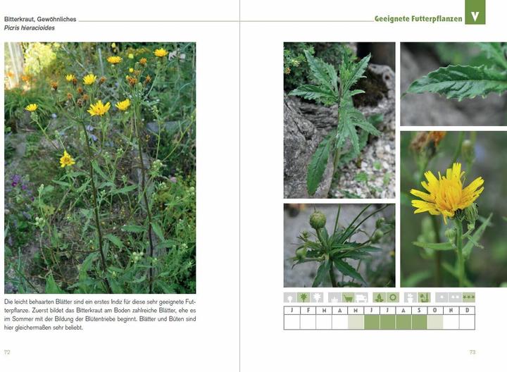 Produktbild Der Schildkröten-Gärtner - Naturnahe Ernährung Europäischer Landschildkröten (Deutsch, Thorsten Geier, 2016)