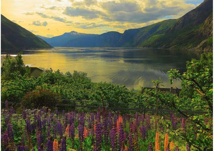 Actual product image Ravensburger Fiordo in Norvegia (1000 pieces)