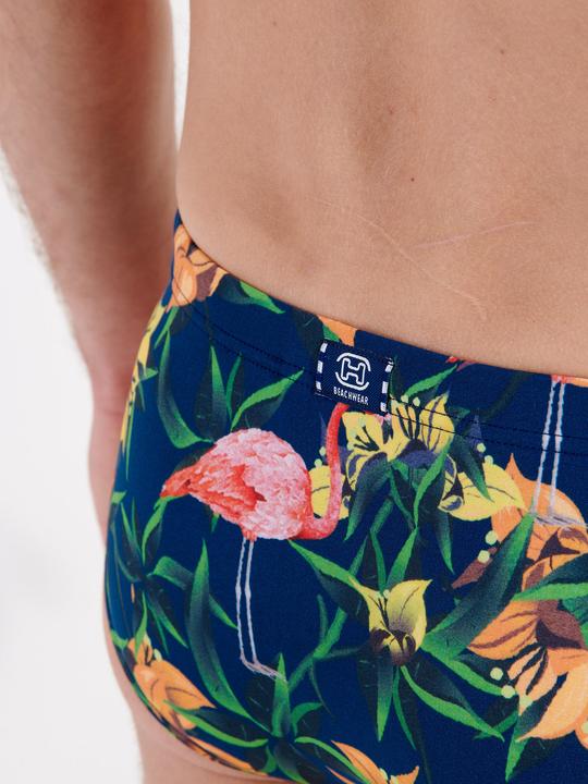 Actual product image HOM Bathing briefs (M)