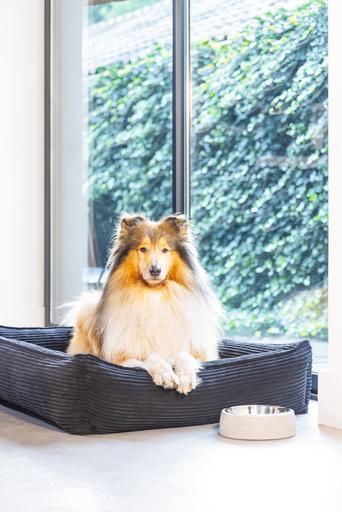Produktbild Designed by Lotte Ribbed (Hund)