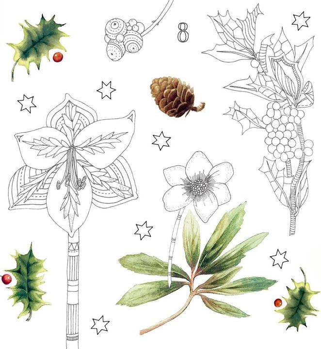 Image du produit Calendrier créatif