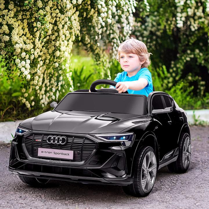 Actual product image Jamb Audi e-tron (12 V)