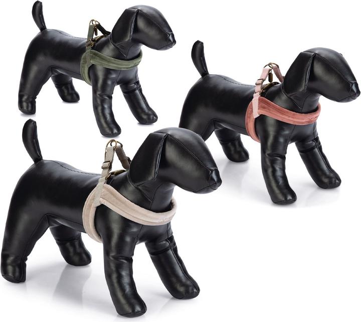 Actual product image Designed by Lotte Velura (XXS, XS, S, M, L, Dog, Walks)