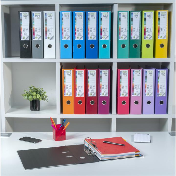 Immagine prodotto Exacompta Premium (A4, 80 mm, 1 Pezzo/i)