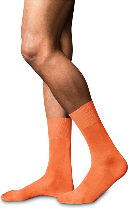 Image du produit Falke No. 9 SO (41 - 42)