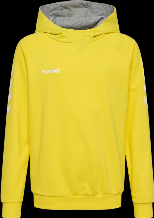 Image du produit hummel Go Kids Hoodie En Coton (116)
