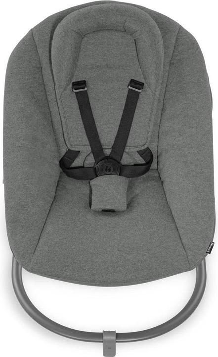 Actual product image Hauck Alpha Bouncer