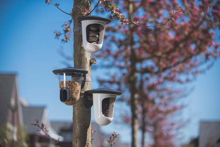 Actual product image SingingFriend Bird feeder feedR