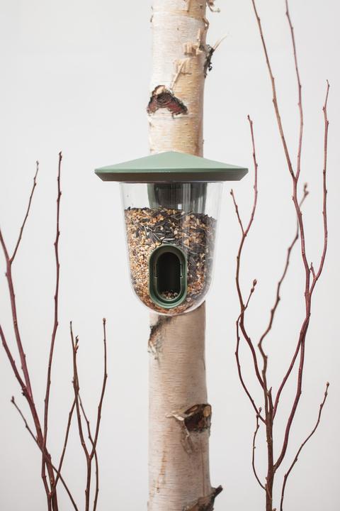 Actual product image SingingFriend Bird feeder feedR