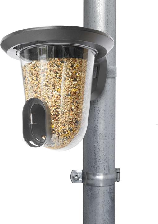 Actual product image SingingFriend Bird feeder feedR