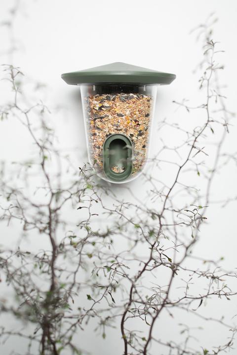 Actual product image SingingFriend Bird feeder feedR