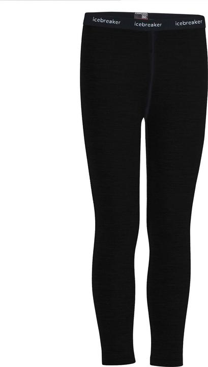 Icebreaker Leggings Tech (8)