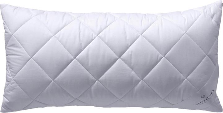 Produktbild Billerbeck 321 CLASSIC-CLEAN (40 x 80 cm)