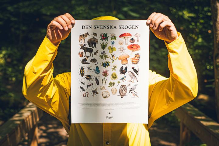 Actual product image Ninja Print Skogen (memory spel)