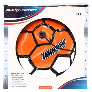 Produktbild Trainingsball+Verstellb. Schnur Gr. 4 Sort.