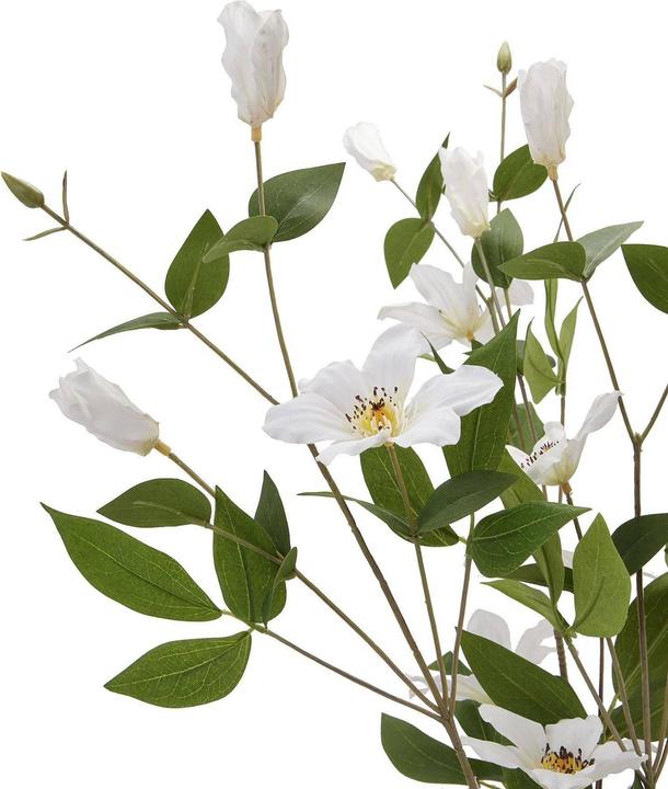 Immagine prodotto Hill Interiors Clematide della Florida Fiore Artificiale (77 cm)