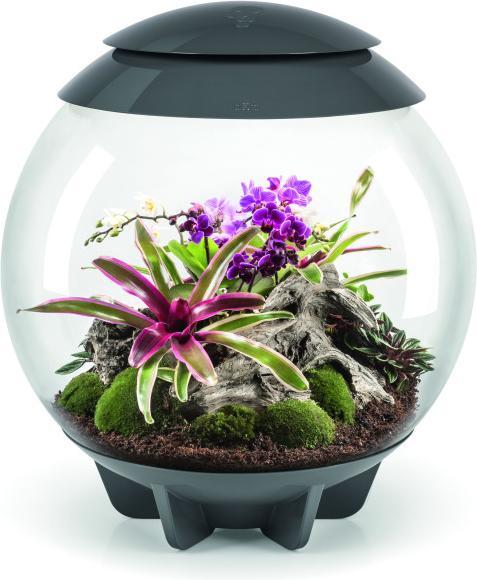 Produktbild Oase biOrb AIR 60 grau