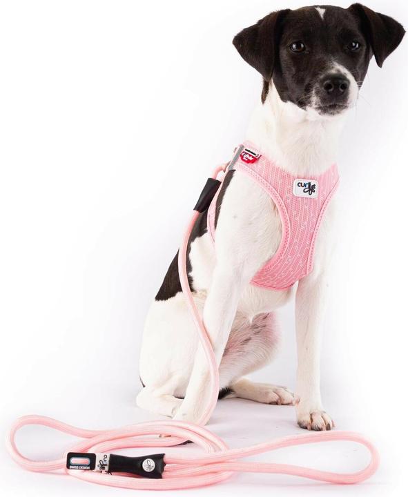 Produktbild Curli Geschirr Vest Air-Mesh XL SE24, Fondant-Pink (XL, Hund, Allgemein)
