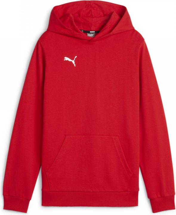 Actual product image Puma teamGOAL Casuals Hoody Jr (164)