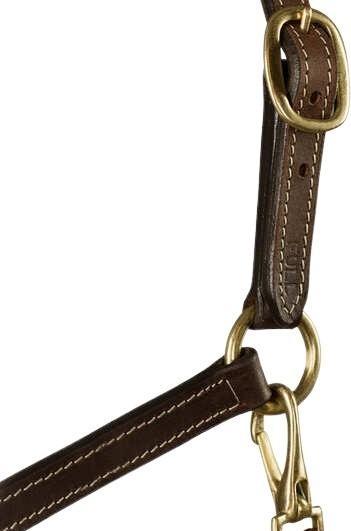 Actual product image Horze Fremont