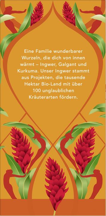 Produktbild Pukka Drei Ingwer (36 g)