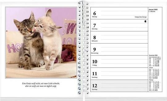 Actual product image Schmusekatzen Fotokalender 2025 (17 x 20 cm, German)