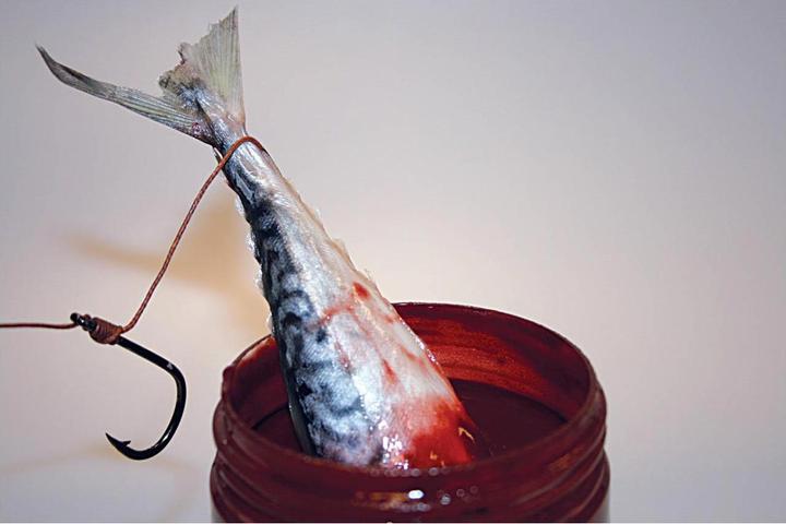 Actual product image Dynamite Baits Squid Liver Bait Dip