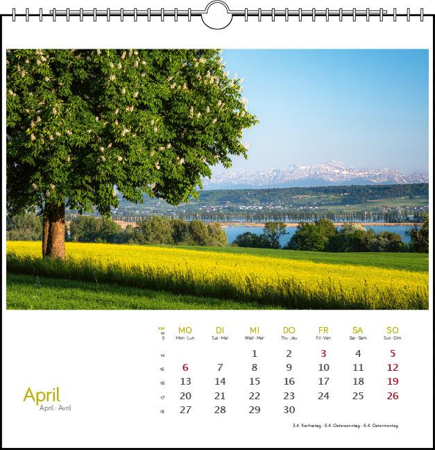Immagine prodotto Westlicher Bodensee 2026 (17 x 17 cm, Francese, Inglese)