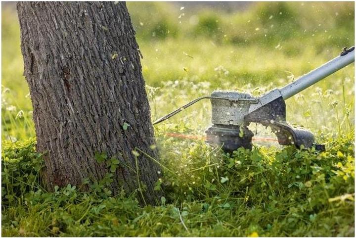 Image du produit Bosch Professional GRT 18V-33 Solo (Fils coupe-herbe)