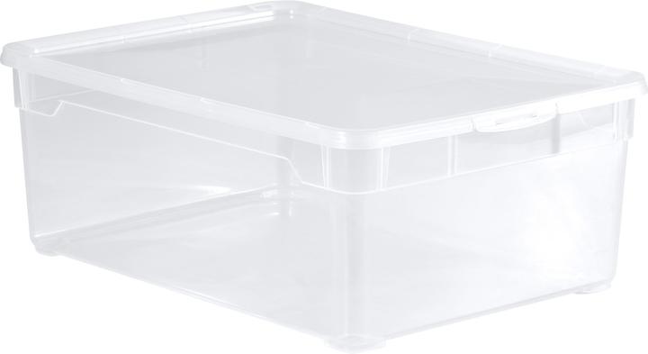 Image du produit Rotho Clair (36 x 26 x 14 cm, 10 l)