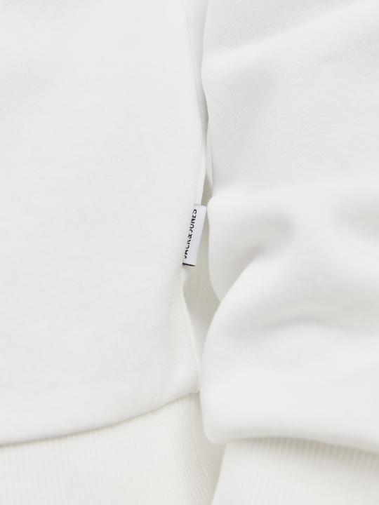 Actual product image Jack & Jones Jjebradley Sweat Crew Noos (XXL)