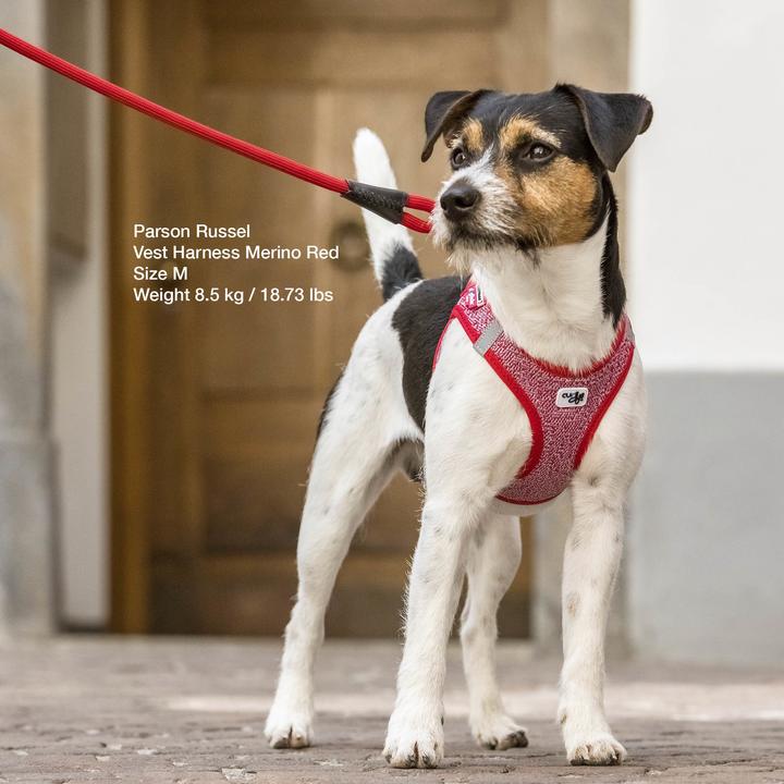 Immagine prodotto Curli Stoviglie Merino (XS, Cane, Generale)