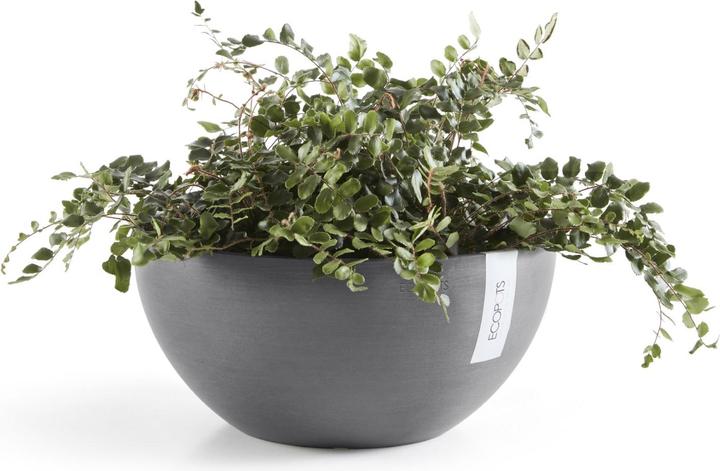 Actual product image Ecopots Brussels (25 cm)