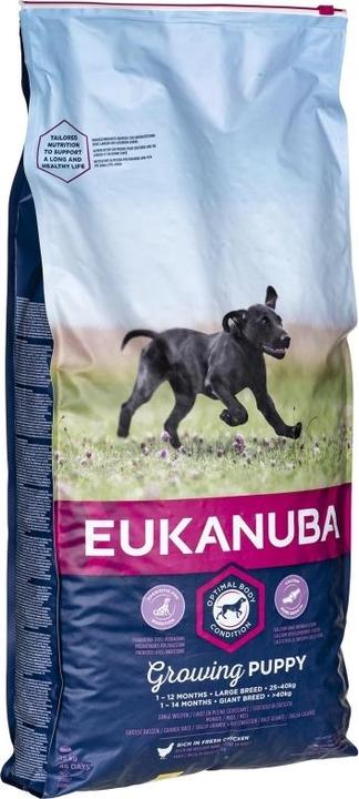 Actual product image Eukanuba Puppy & Junior Large Breed Chicken (Junior, 1 pcs., 15000 g)