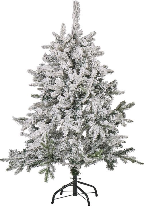 Image du produit Beliani Tomichi (120 cm)